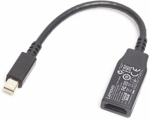 送料無料★10本セット Lenovo TYPE2-PS8402A Mini DisplayPort to HDMI アダプター Mini DisplayPort=HDMI変換アダプタ ★中古品