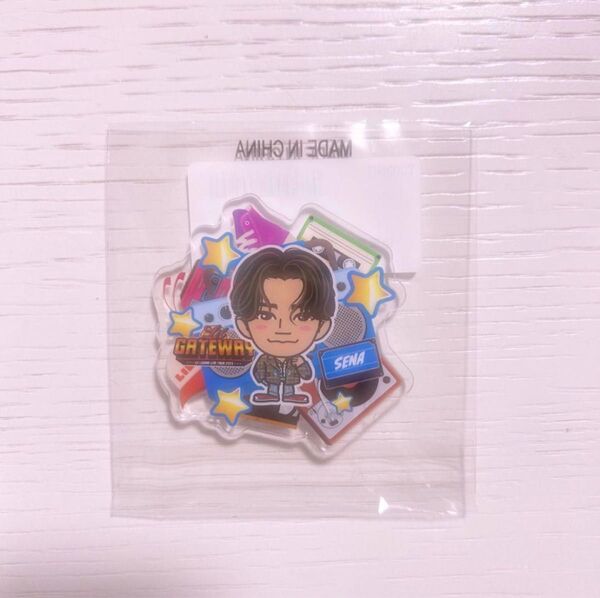 LILLEAGUE lilleague りるりーぐ リルリーグ 岩城星那 バッジ EXILETRIBE EXILE TRIBE