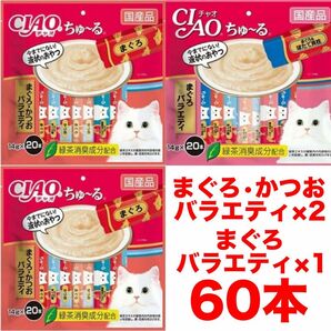 チャオ ちゅーる 60本 国産 猫用 いなば ペットフード まぐろ かつおバラエティ まぐろバラエティ ちゅ〜る バラエティ