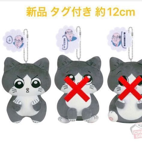 2025年最新】Yahoo!オークション -ねこに転生したおじさんの中古