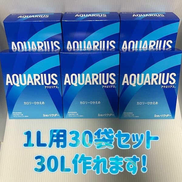 アクエリアス パウダー 1用 30袋セット 30分 粉末清涼飲料 48g 5袋×6箱 AQUARIUS 粉 粉末 1L用 30L