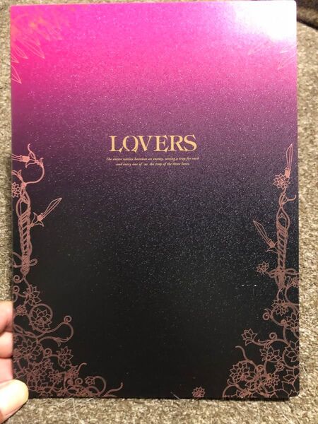 超レア! LOVERS中国映画 金城武