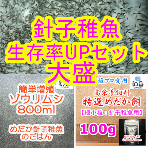 大盛★針子稚魚 生存率UP★ ゾウリムシ800ml&特選めだか餌極小粒100gセット めだかグッピーらんちゅう金魚ベタの餌