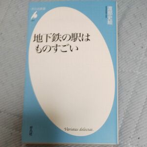 地下鉄の駅はものすごい （平凡社新書　９４２） 渡部史絵／著