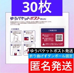 (6/312時以降に取得できるクーポン【住まいクーポン利用可】)ゆうパケットポストmini 専用　封筒　30枚