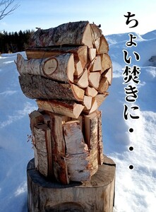 セール！　白樺の薪ミニサイズ2束　北海道産