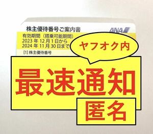 【クレカOK・最速1分・番号通知・コード通知】ANA 全日空 株主優待券 1枚（2024年11月30日搭乗分まで）/ 2枚 3枚 4枚 5枚 6枚 7枚 8枚 9枚