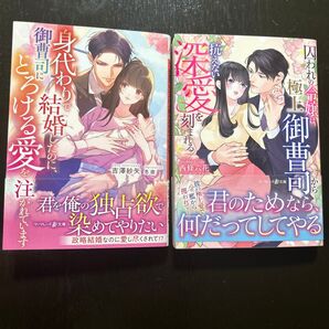 身代わりで結婚したのに、御曹司にとろける愛を注がれています 他1冊