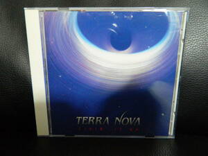 (67)　TERRA NOVA　　 /　 LIVIN' IT UP　 　日本盤　 　 ジャケ、経年の汚れあり　　