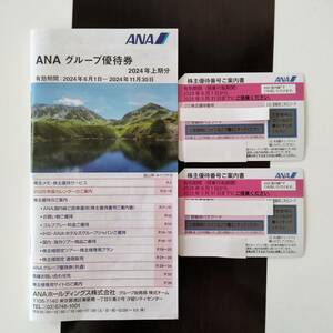 送料無料 ANA株主優待券2枚 2025年5月31日搭乗分迄+ANAグループ優待券