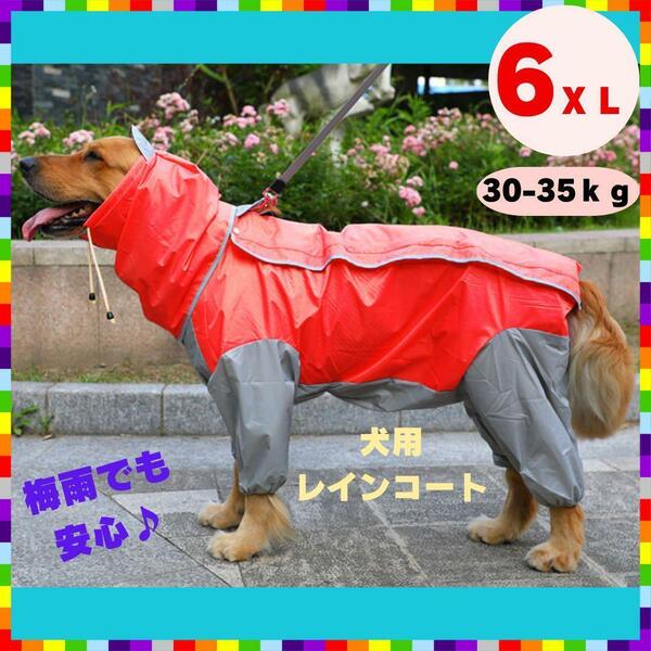 大型犬 レインコート 4脚タイプ 赤 中型犬 犬服 撥水 カッパ レインウェア