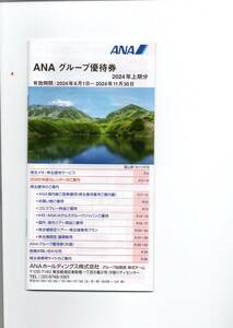 ANAグループ　株主優待券