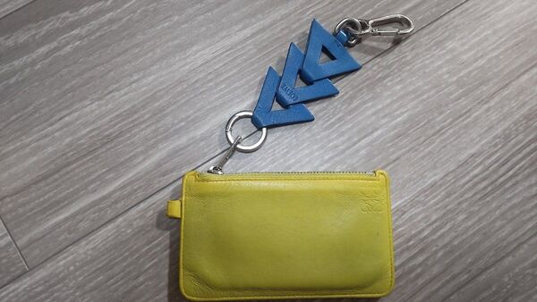 LOEWE ロエベカードケース