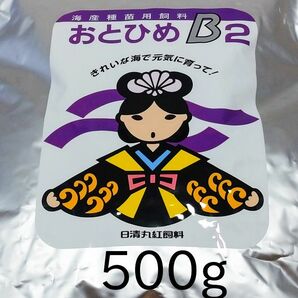 高栄養飼料 おとひめB2 500g アクアリウム メダカ 熱帯魚