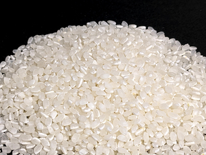 [ free shipping ]. peace 5 year Niigata prefecture conventional Koshihikari 25 kilo after the bidding successfully . rice .. storage Special A acquisition agriculture house from direct delivery 3