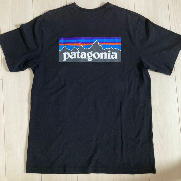 パタゴニア Tシャツ メンズバックプリント 半袖Tシャツ ロゴ Patagonia Mens P-6