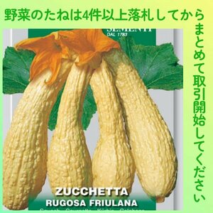 4件以上落札◆ズッキーニ種◆ズッキーニ・ ルゴサフリウラナ 3粒◆固定種 イボイボズッキーニ rugosa friulana イタリア