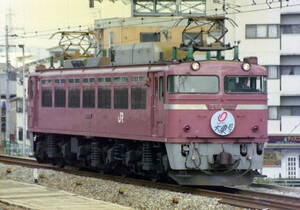 ◆◆ 【写真1枚】 EF81 46　大東号HM　KGサイズ　◆◆