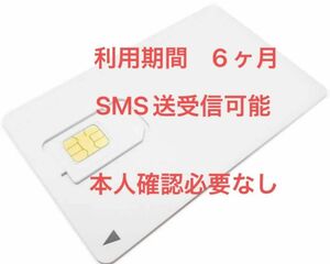 【SMS送受信可能】データSim 月間1GB 6ヶ月利用可能！