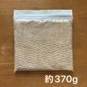 玄米 約370g 23年度産 令和5年度産