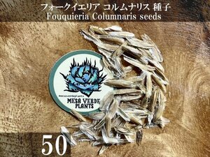 フォークイエリア コルムナリス 種子 50粒+α Fouquieria Columnaris 50 seeds+α 観峰玉 種