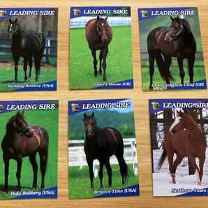 サラブレッドカード 種牡馬 まとめ売り 競馬カード