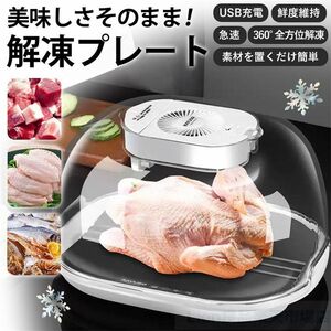 スピード解凍 冷凍肉 冷凍魚 ステーキ 解凍トレー デフロスター USB充電式 調理器具 スピード解凍