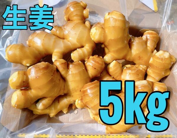 生姜5kg