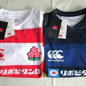 ★2019年 CANTERBURY JAPAN REPLICA HOME ALTERNATE JERSHY カンタベリー ラグビー 日本代表 レプリカジャージ S 桜 ホーム オルタネイト★