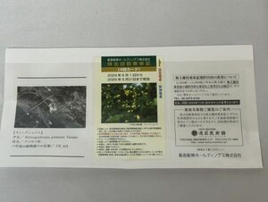 E☆阪急阪神ホールディングス　株主優待回数乗車証４回カード　２０２５年５月３１日まで