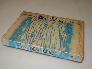 G0166〔即決〕署名（サイン）落款『私家版初期作品集踊り初め』三神弘/1989年初版・函 状態：並/多少の痛み・値札痕等があります。