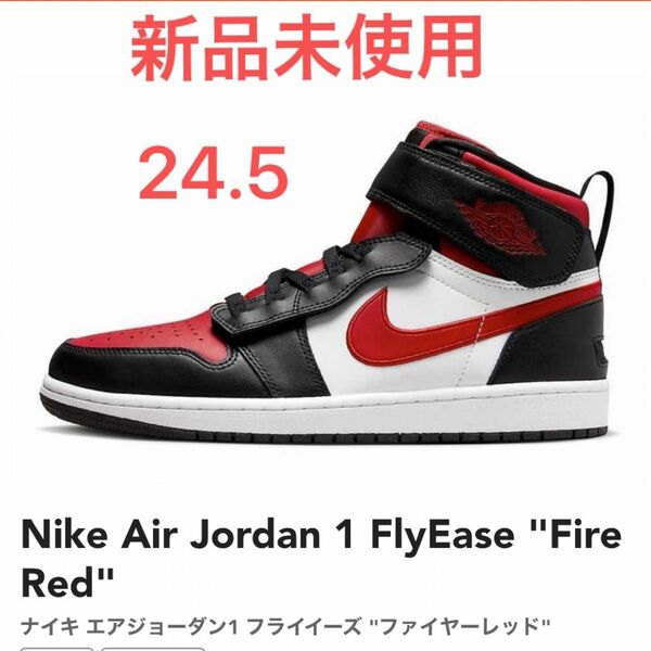 Nike Air Jordan 1 FlyEase ジョーダン　ナイキ