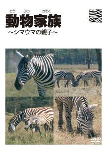 【中古】動物家族~アフリカ編~シマウマ [DVD]