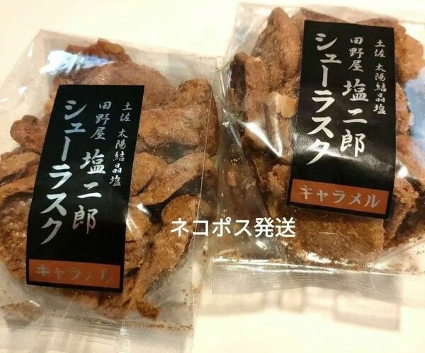  訳あり 田野屋 塩二郎 シューラスク 100g×2袋 シールをカットして広げた状態で発送 