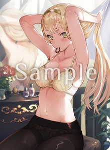 【PS4】ライザのアトリエ ~常闇の女王と秘密の隠れ家~ ソフマップ特典「描き下ろし Wスエードタペストリー」