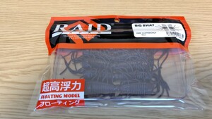 RAID JAPAN