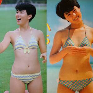 井森美幸 1985年〜1990年 大量 切り抜き ファイル 1冊 60P