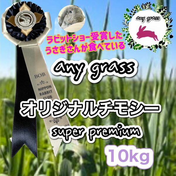 any grass オリジナルチモシー super premium 10kg 圧縮　無選別