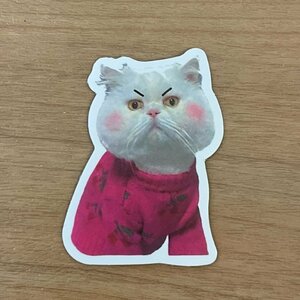 【即日発送】猫ミーム ステッカー 1枚 中国