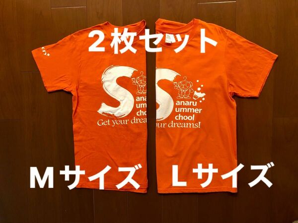 Tシャツ　サナル 予備校　夏期講習 M/Lサイズ