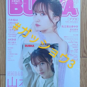 NMB48 山本望叶Ver. BUBKA (ブブカ) 2022年3月号増刊 ポストカード(アップ) 1枚 特典付き(新品シュリンク未開封)ポスター・応募券等付き