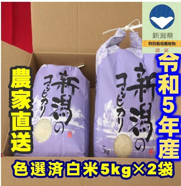 特別栽培米・令和5年産新潟コシヒカリ　白米5kg×2個★農家直送★色彩選別済01