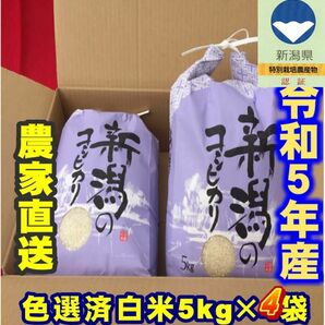 特別栽培米・令和5年産新潟コシヒカリ　白米5kg×4個★農家直送★色彩選別済01