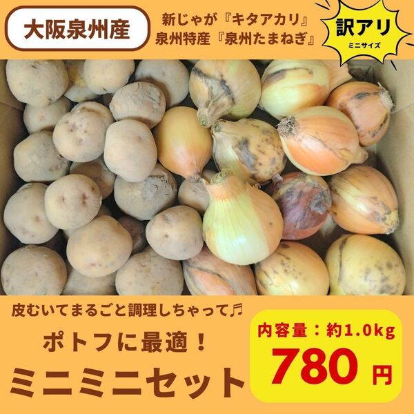 【農家直送】【訳あり】ミニミニセット　玉ねぎ　新じゃがいも　キタアカリ　ポトフ　大阪泉州