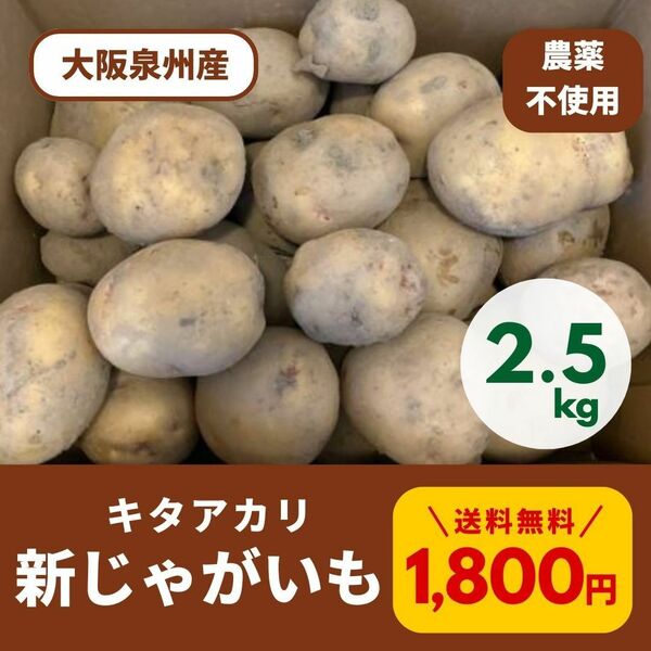 【新鮮】 【農家直送】新じゃがいも　キタアカリ　約2.5kg　大阪泉州産