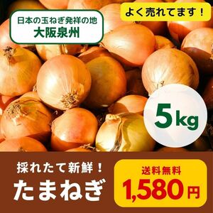 【新鮮】 【農家直送】玉ねぎ　約5.0kg　大阪泉州産　泉州たまねぎ　