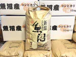 令和5年産新米【魚沼産コシヒカリ】白米/玄米１０キロ☆農家直送☆３~7分つき対応