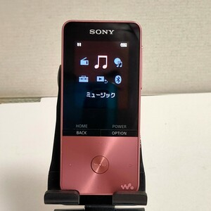 【中古品】SONY WALKMAN NW-S313 ソニーウォークマン 4GB S/N3011198 デジタルミュージックプレーヤー【ジャンク扱い】