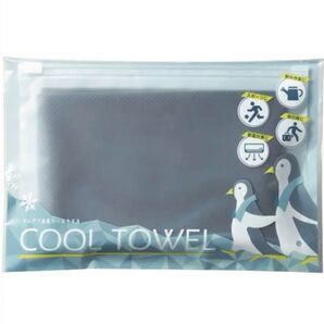 ☆新品未使用☆ ひんやり涼感 クールタオル ジッパーポーチ付き