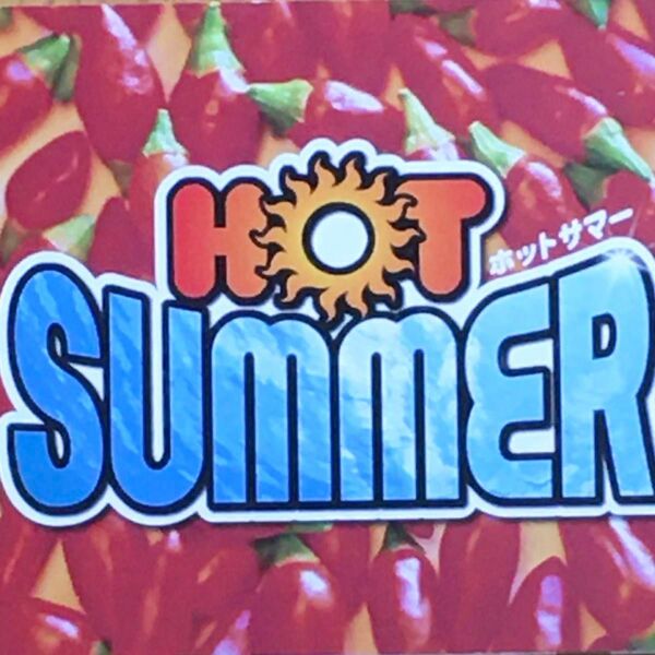 used CD HOT SUMMER オムニバスCD ホットサマー 2枚組